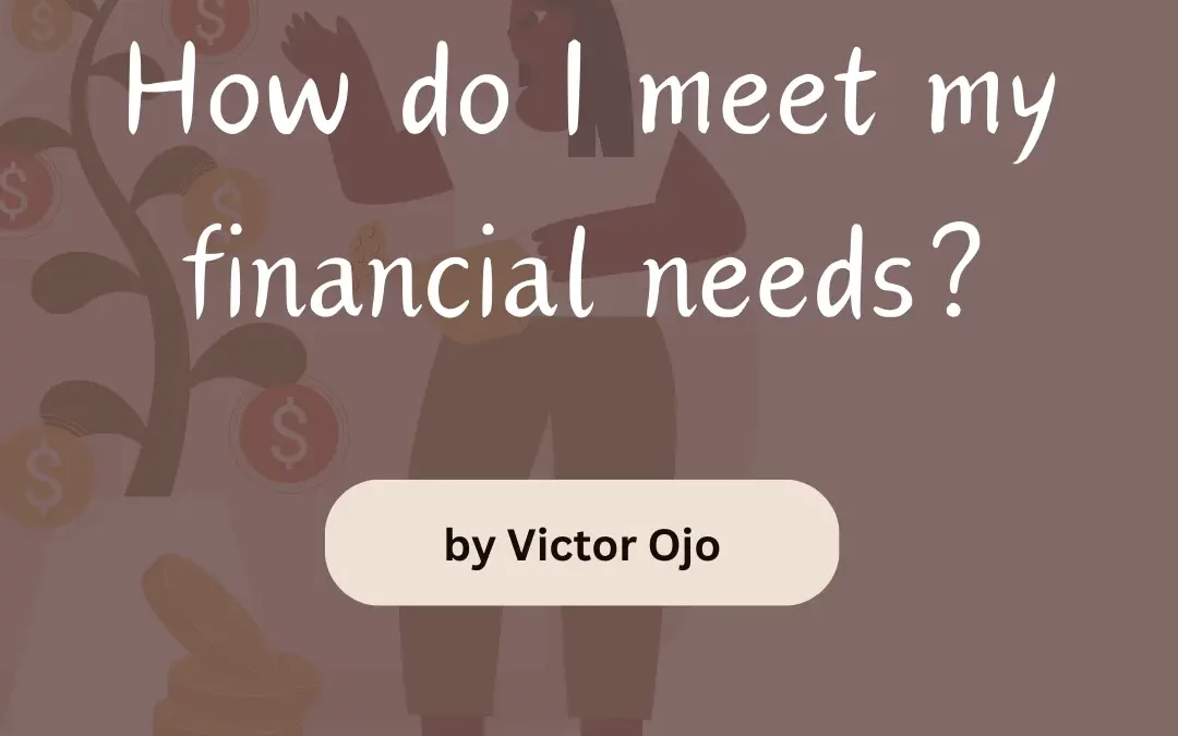 How do I meet my financial needs?